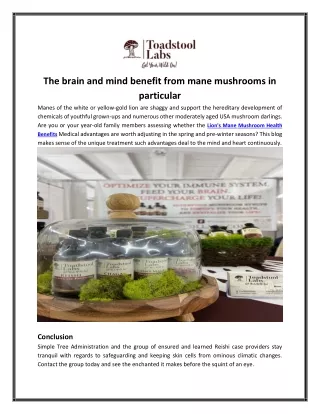 the brain and mind benefit from mane mushrooms