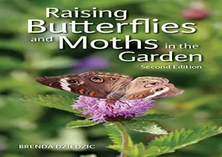 PDF Raising Butterflies and Moths in the Garden