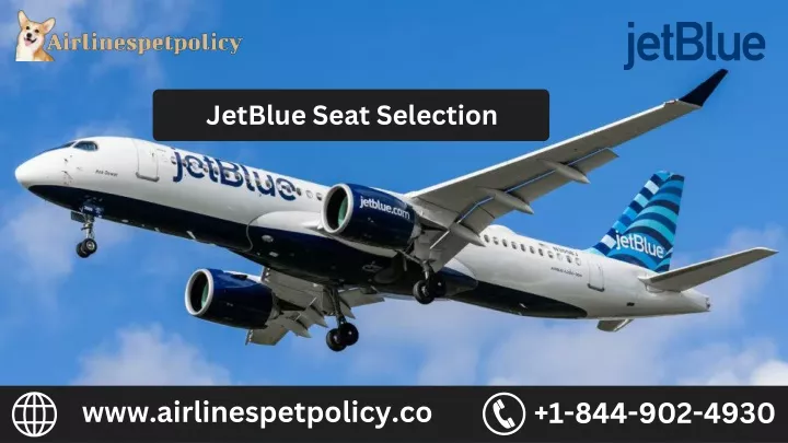 www airlinespetpolicy com