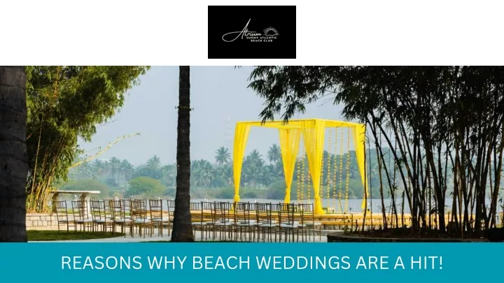 reasons why beach weddings are a hit
