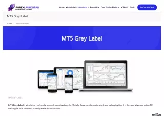 Mt5 grey label | Mt5 grey label cost