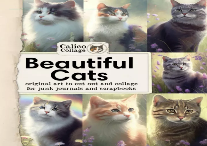 pdf read online beautiful cats ephemera book