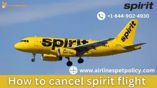 1 844 902 4930