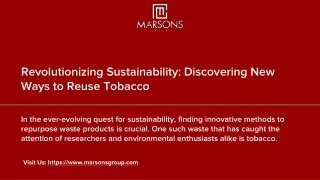 Revolutionizing Sustainability_ Discovering New Ways to Reuse Tobacco