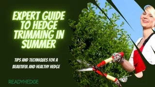 tips and techniques for a beautiful and healthy