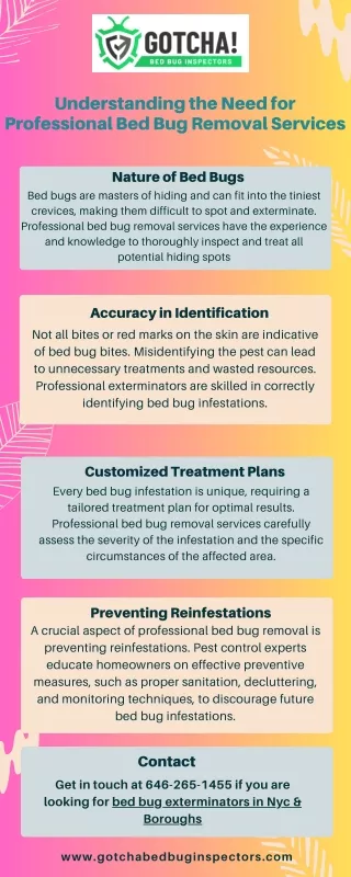 understanding the need for professional