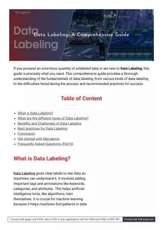 Importance of Data Labeling for AI and ML Models | Macgence