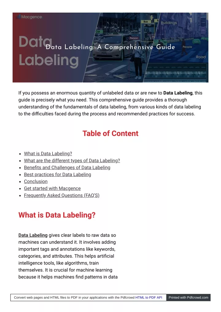 data labeling a comprehensive guide