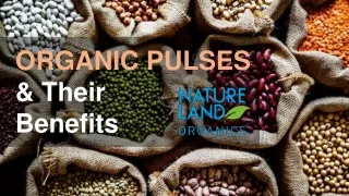Organic Pulses and their Benefits