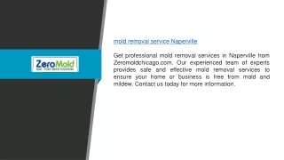 Mold Removal Service Naperville | Zeromoldchicago.com