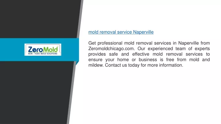 mold removal service naperville get professional