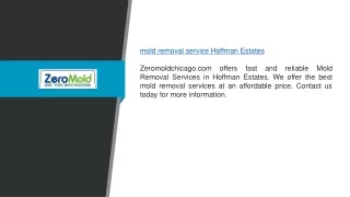 Mold Removal Service Hoffman Estates | Zeromoldchicago.com
