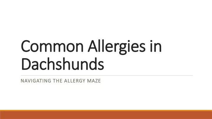 common allergies in dachshunds