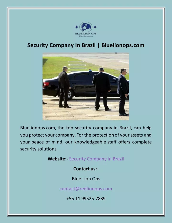 security company in brazil bluelionops com