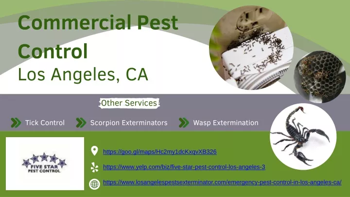 commercial pest control