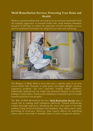 Mold Remediation Services Protecting Your Home and Health