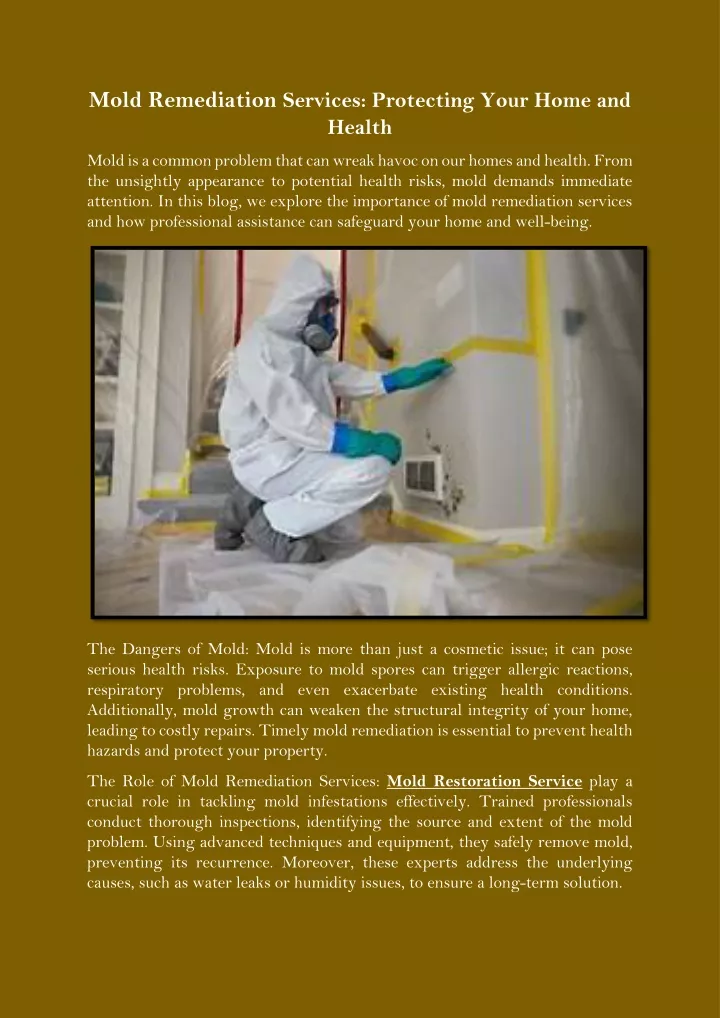 mold remediation services protecting your home