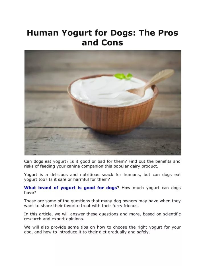 human yogurt for dogs the pros and cons