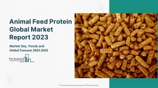 Animal Feed Protein Global Market Report 2023 – Market Size, Trends, And Global Forecast 2023-2032