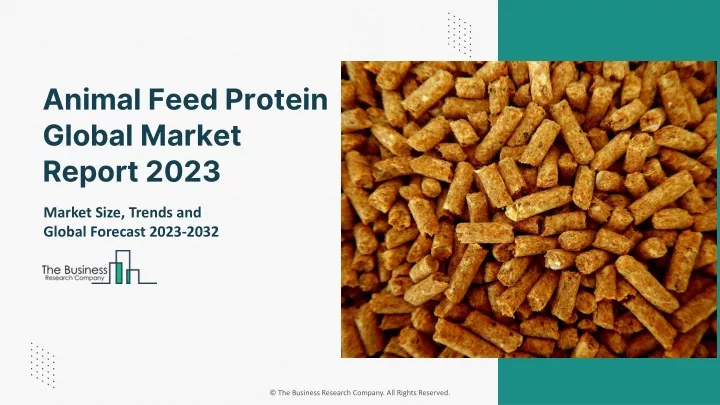 animal feed protein global market report 2023