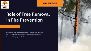 Role of Tree Removal in Fire Prevention