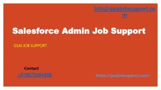 Salesforce Admin job support