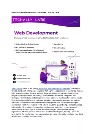 Hyderabad Web Development Companies _ Techally Labs