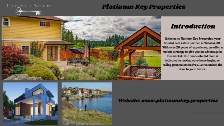 platinum key properties