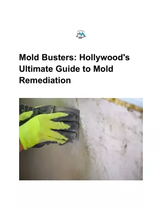 Hollywood's Ultimate Guide to Mold Remediation