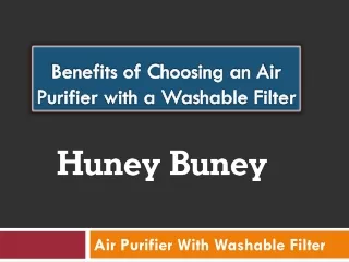 Benefits of Choosing an Air Purifier with a Washable Filter