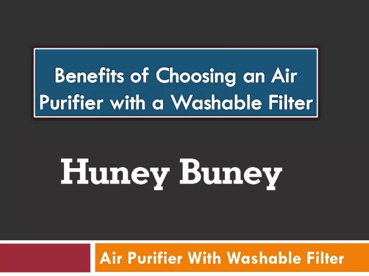 benefits of choosing an air purifier with a washable filter
