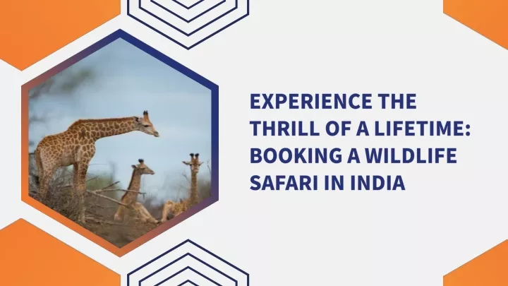 experience the thrill of a lifetime booking