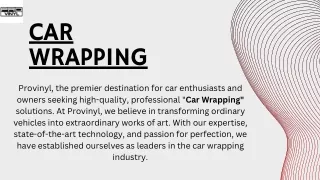 Provinyl: Unleashing the Art of Car Wrapping