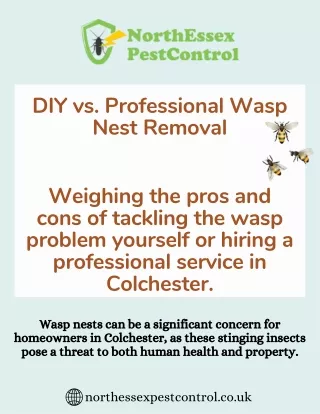 Wasp Nest Removal Colchester by North Essex Pest Control