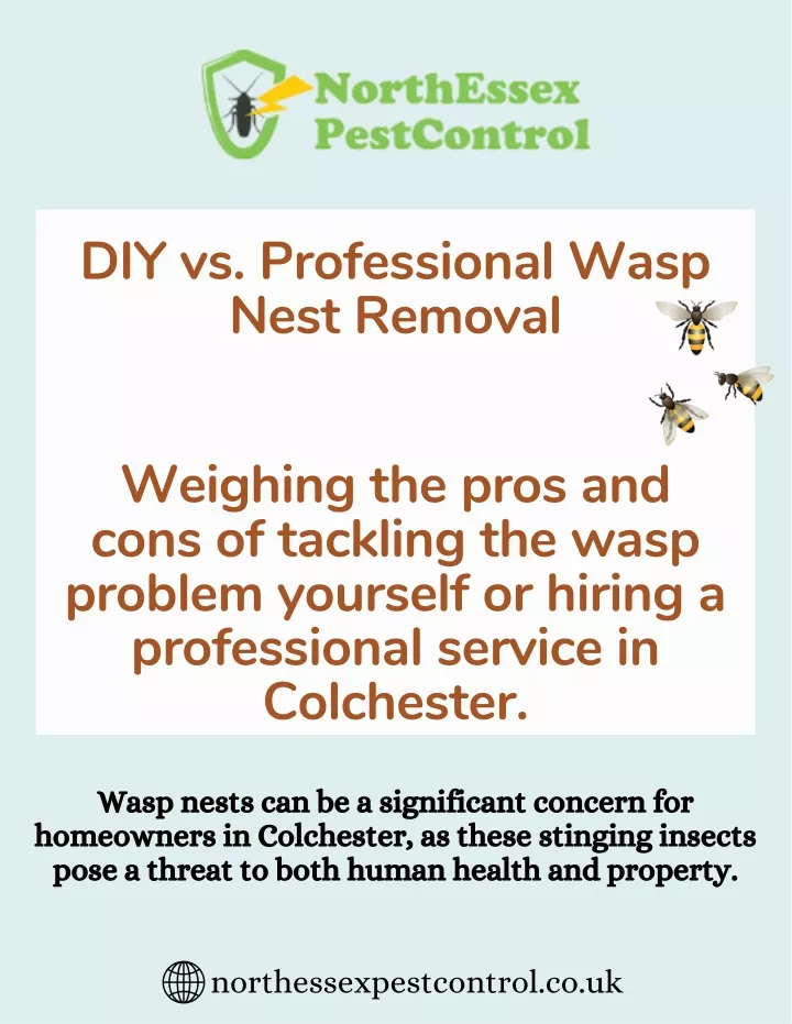 diy vs professional wasp nest removal