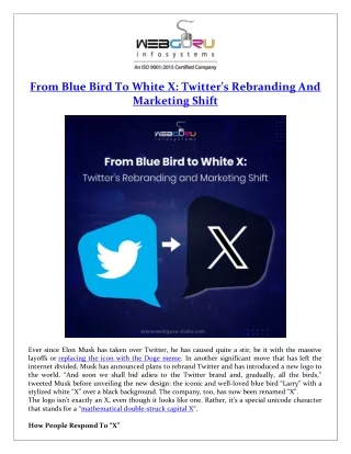From Blue Bird To White X Twitter’s Rebranding And Marketing Shift