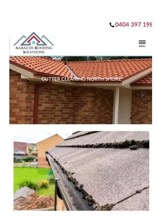 Gutter Cleaning North Shore
