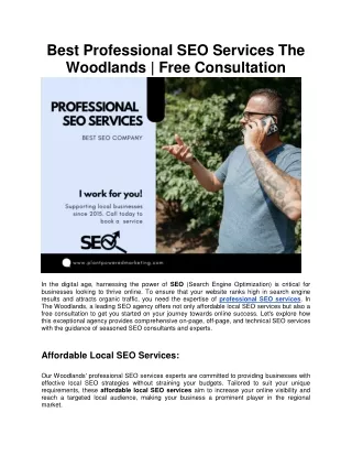 Best Professional SEO Services The Woodlands