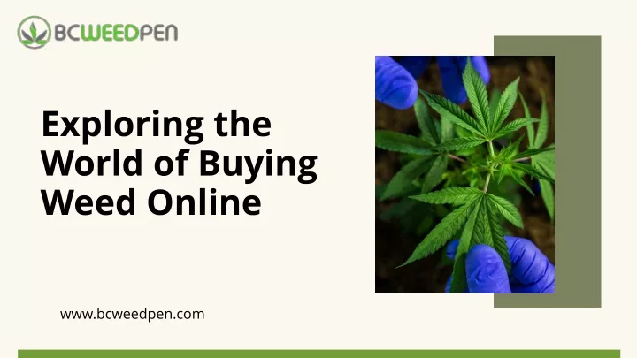 exploring the world of buying weed online
