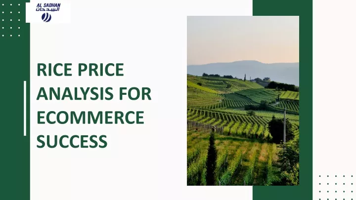 rice price analysis for ecommerce success