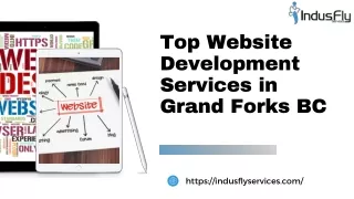 top website development services in grand forks bc