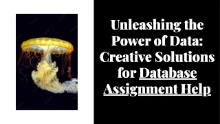 Database Assignment Help