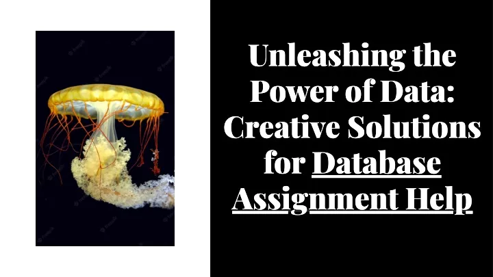unleashing the power of data creative solutions