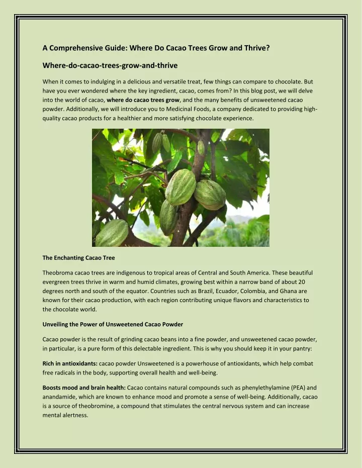 a comprehensive guide where do cacao trees grow