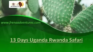 Unforgettable 13-Day Uganda Rwanda Safari | Frena Adventures