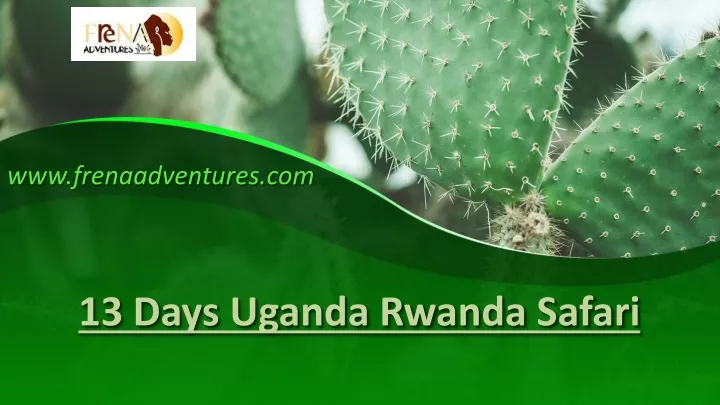 13 days uganda rwanda safari