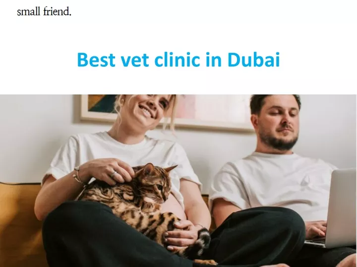 best vet clinic in dubai