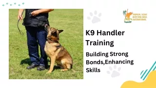 K9 Handler Training