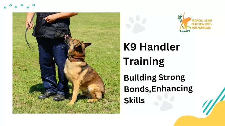 k9 handler training building strong bonds
