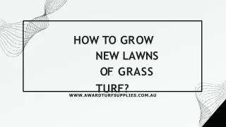 How To Grow New Lawns Of Grass Turf